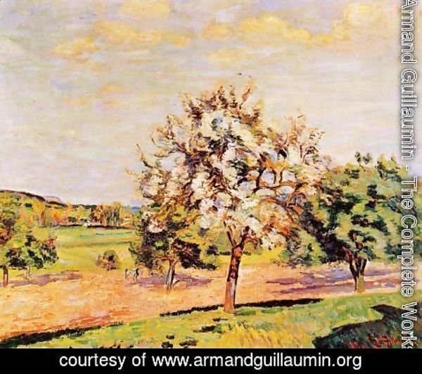 Armand Guillaumin - Apple Trees In Bloom