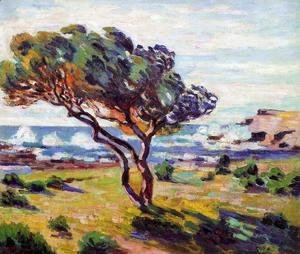 Armand Guillaumin - Gust Of Wind  Le Brusc