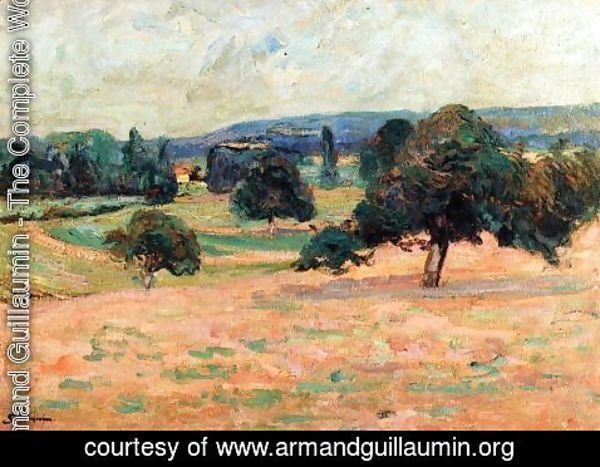 Armand Guillaumin - Ile De France Landscape