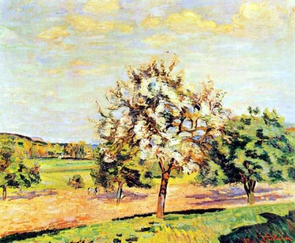 Les Pommiers En Fleurs, Ile De France by Armand Guillaumin