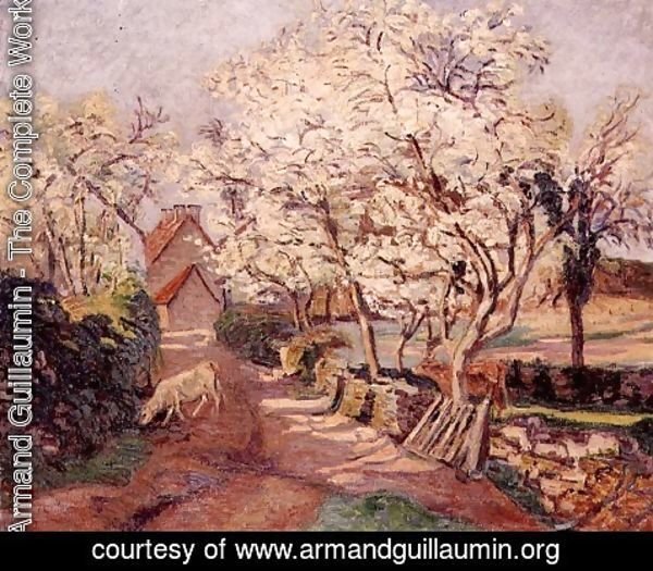 Armand Guillaumin - Plum Trees in Blossom