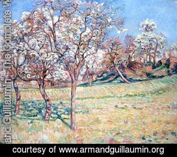 Armand Guillaumin - Apple Trees at Damiette