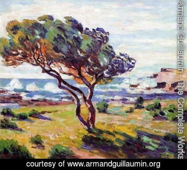 Armand Guillaumin - Gust Of Wind  Le Brusc